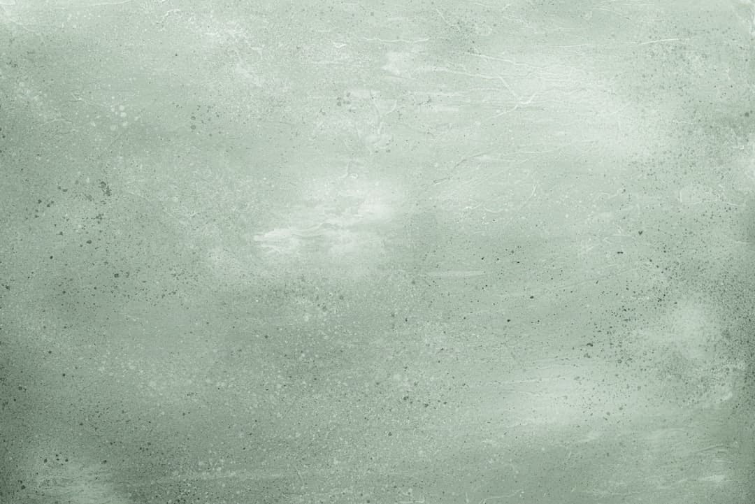 我买了一双巴黎世家什么梗